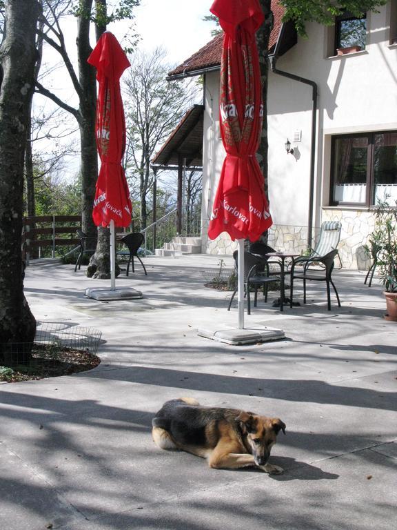 Planinarski Centar Petehovac Delnice Kültér fotó
